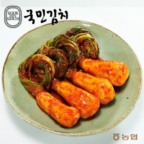 총각김치 3kg 한국농협김치
