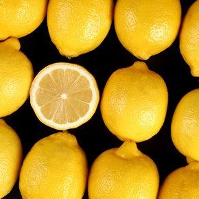 프리미엄 팬시 레몬 10과 (과당 120g) 미국산