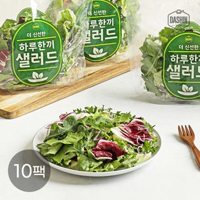 당일생산 샐러드믹스 하루한끼 샐러드 1주세트 (10팩) / 3회세척 7가지야채