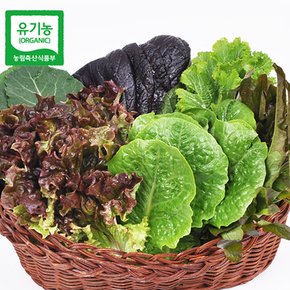 [산지직송] 유기농 모듬 쌈채소(야채) 800g