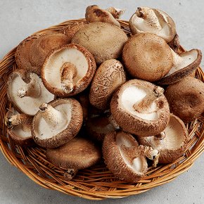 무농약 생표고버섯 중품 2kg