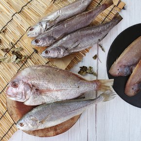 반건조 제수용 생선선물세트(참돔+조기+민어+참서대)