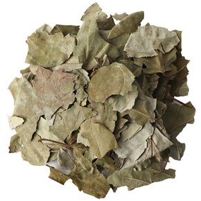 국산 꾸지뽕잎 구찌뽕잎 (100%잎) 3kg