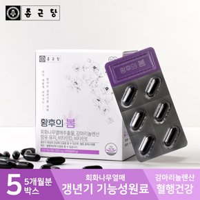 여성 PMS 영양제 황후의봄 5박스(5개월분) 달맞이꽃종자유 감마리놀렌산