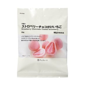 일본 무인양품 스트로베리 초코 딸기 50g