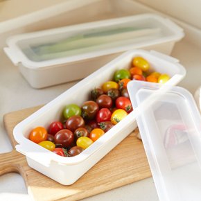 냉동실 냉장고 정리 보관 용기 플라스틱 직사각 바트 밧드 야채 채소 김밥 긴형 2개