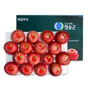 [오늘신선] 경북 청송 선물 프리미엄 과일선물 사과세트 5kg(16-17과내)