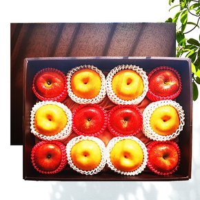 프리미엄 사과 배 혼합 선물세트 2호 6kg(사과6,배6)
