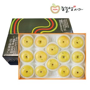 장길영 골드 알뜰사과 5KG 황금사과 시나노골드 사과