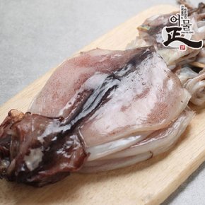 영덕에서 말린 국내산 반건조오징어 왕특 10미+10미/총4.4kg 피데기