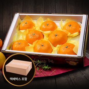 [서울분당퀵배송][참다올]아침愛제주천혜향세트3kg(8-11개)