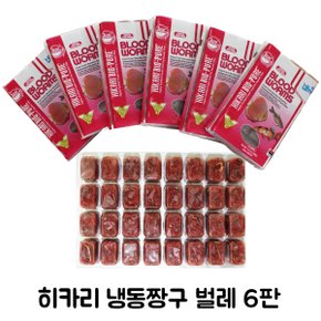 히카리 냉동 짱구벌레 6팩 /냉짱 열대어 냉동사료