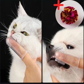 강아지 고양이 애견 실리콘 손가락 칫솔 양치 치석제거 구강 입냄새