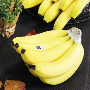 유기농 바나나 2kg