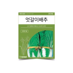 베하몰 텃밭 채소 씨앗 엇갈이배추