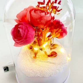 LED 라넌큘 꽃 돔 오르골 1인세트