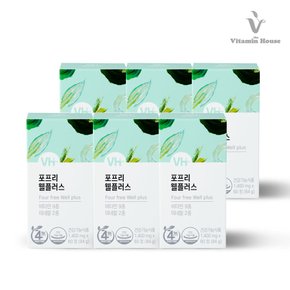멀티비타민 웰플러스 6병 (12개월분)