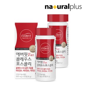 에버핏 콜레우스포스콜리 60정 2병 / 빨간 다이어트 체지방 감소 비타민B
