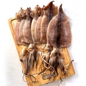 바다어보 국산 반건조오징어 1kg / 피데기오징어 파지오징어