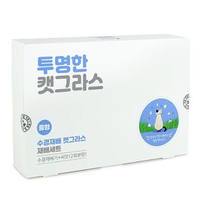 씨앗 수경재배기 스트레스 캣그라스 재배세트 중형