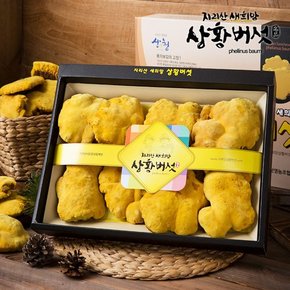 [지리산 새희망 상황버섯] 유기농 지리산 상황버섯 선물세트 250g (특품)