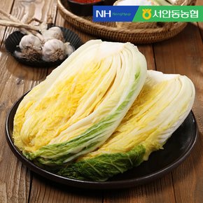 [품질보장][서안동농협] HACCP 프리미엄 풍산김치 절임배추 10kg
