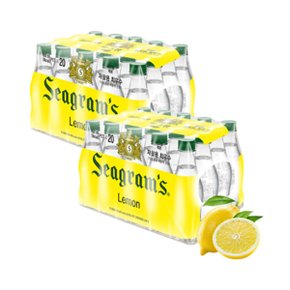 씨그램 레몬 450ml 20페트 X 2박스