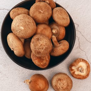 친환경인증 영월 생표고버섯 1kg(상품)