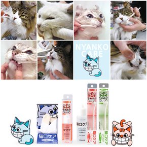 냥코케어 고양이 애묘 구강청결용품 / 칫솔,치약,구강청정제,클리너