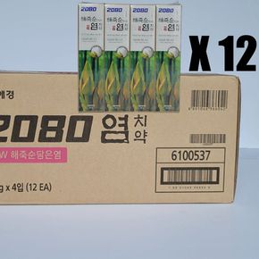 애경 2080 염치약 120g(4입) 12개(1box)
