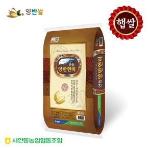 [서안동농협] 양반쌀 현미10kg(23년쌀/당일도정)