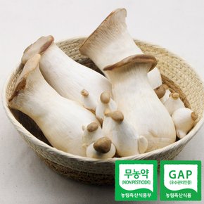 무농약 GAP인증 새송이버섯 특 1kg