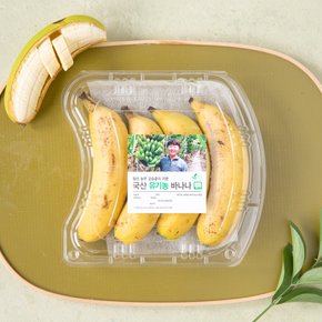국산 유기농 바나나 3~4입/팩 (500g내외)
