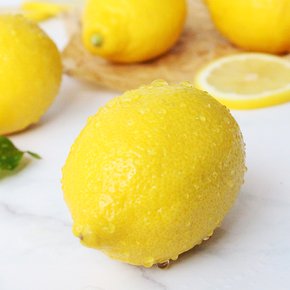 팬시 레몬 45개입(5kg내외)