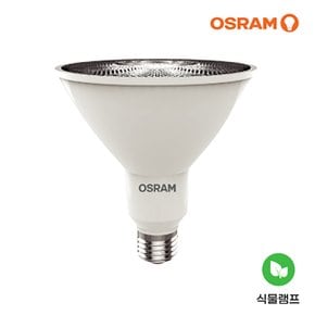 오스람 LED 식물램프 PAR38 15.5W 5000K 식물등 KS