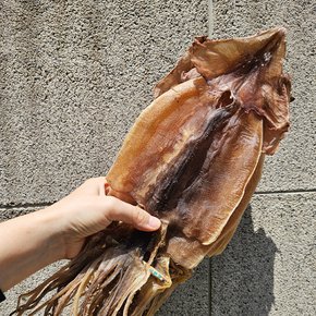 동해안 마른오징어 왕특대 10마리 (1350g 내외)