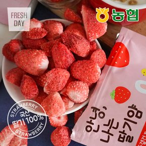 [농협] 생딸기그대로 동결건조 과일칩 나는딸기얌 30봉