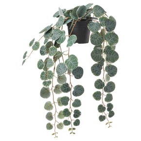 SSG 페이카 인조식물 실내외겸용 걸이형 둥근잎 41cm 화분지름9cm