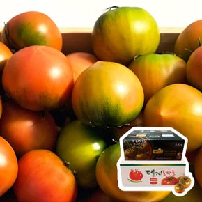 [팜쿡] GAP 대저 짭짤이 짭짜리 토마토 M사이즈(130~180g) 2.5kg
