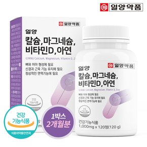 일양약품 칼슘 마그네슘 비타민D 아연 (120정/2개월분)
