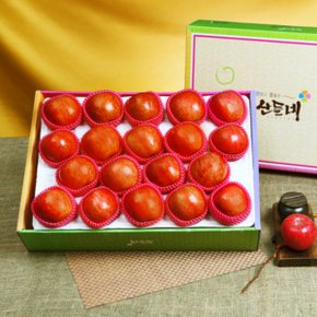 [경상북도][바로배송][산들네] 달고 맛있는 경북 꿀맛사과 3kg 17과내외