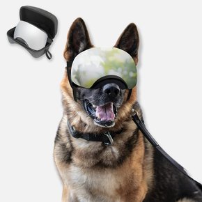 독스랩 아이세이프 프로 강아지 대형견 선글라스 고글 UV400 차단 도글라스