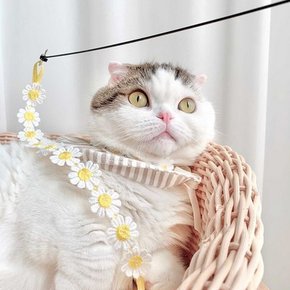 개달당 동백꽃 낚시대 고양이 끈 장난감 카샤카샤 리필 (색상랜덤.개달당