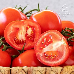 산지직송 전남 화순 완숙 토마토 5kg(소과,개당120-150g)