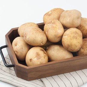[팜쿡] 포슬포슬 하우스 감자(특) 1kg