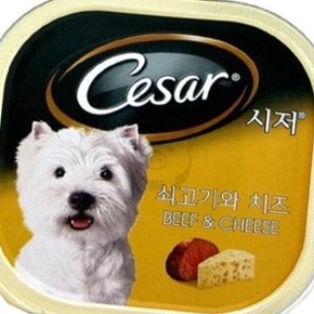 시저캔 쇠고기와치즈 24개 1박스 강아지기호성좋은간식 강아지통조림 강아지캔