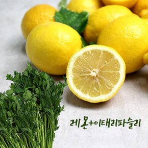 가락시장직송 레몬파슬리주스(레몬5과+이태리파슬리300g)