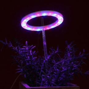인테리어조명 엔젤링 화분 LED 식물등(헤드형) (S10941258)
