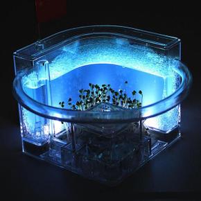 과학 개미관찰 개미키우기 사육장 앤트하우스 어린이교구 초등선물 집중력 두뇌발달