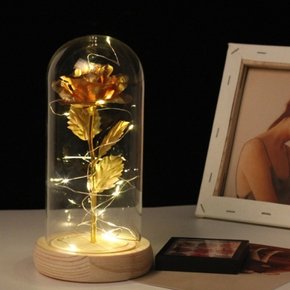 황금장미 카네이션 무드등 LED 유리돔 금장미 꽃 장미 플라워 조명